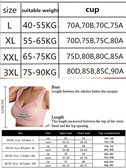 Soutien-Gorge Sport Grande Taille – Push-Up Dentelle Sexy